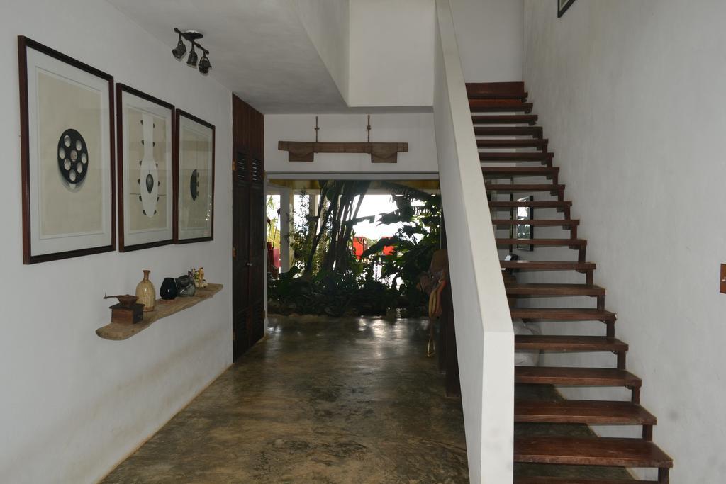 法哈多 热带雨林农场旅馆酒店 外观 照片