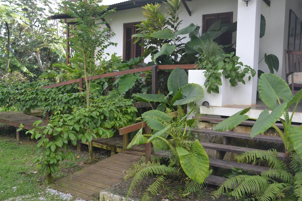 法哈多 热带雨林农场旅馆酒店 外观 照片